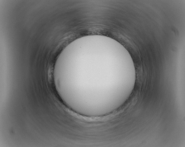 X0000113990038200910021019