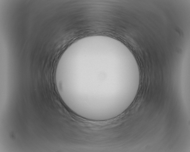 X0000113990039200910021019