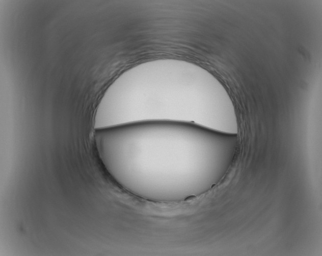 X0000113990041200910021019