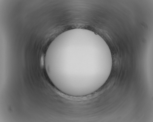 X0000113990042200910021019