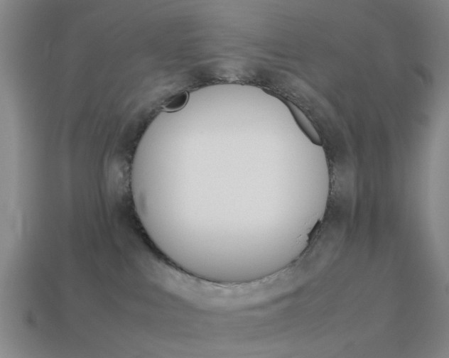 X0000113990043200910021019