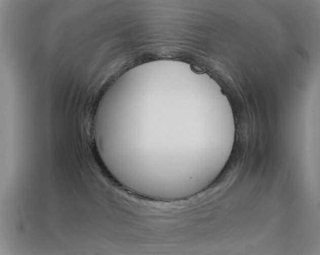 X0000113990044200910021019