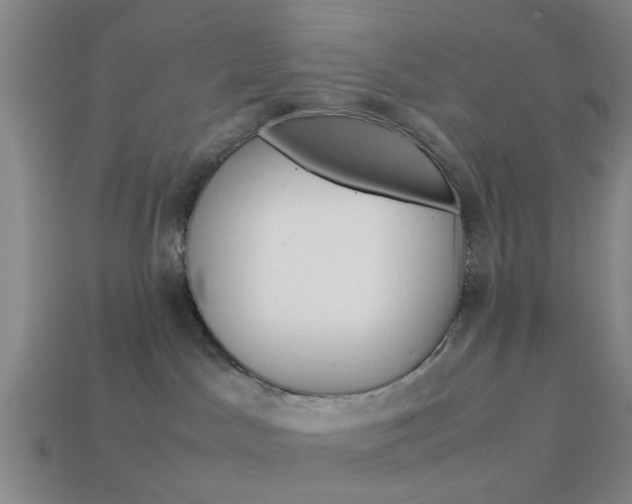 X0000113990045200910021019