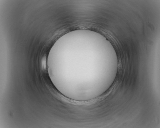 X0000113990046200910021019