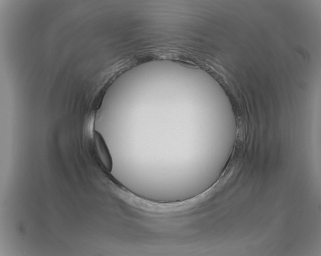 X0000113990047200910021019