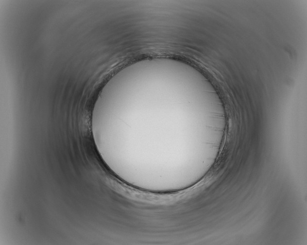 X0000113990048200910021019