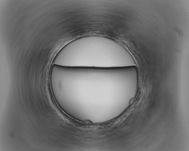 X0000113990049200910021018