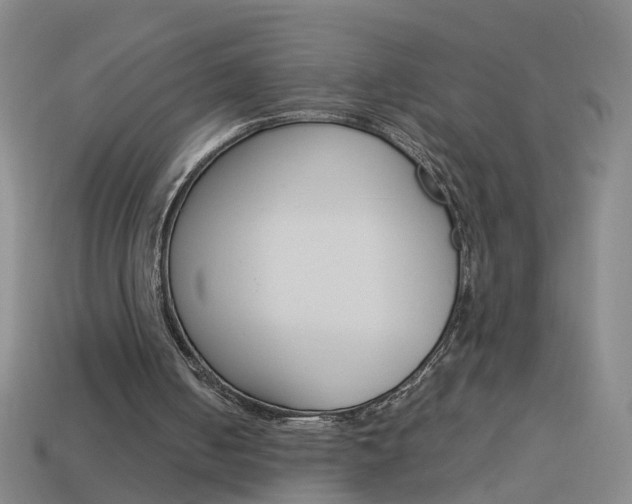 X0000113990050200910021018