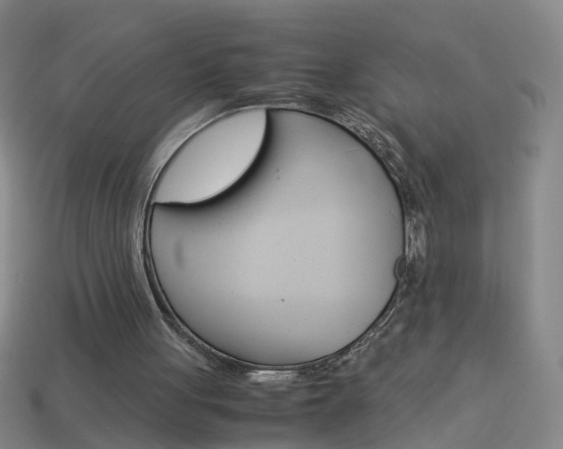 X0000113990051200910021018