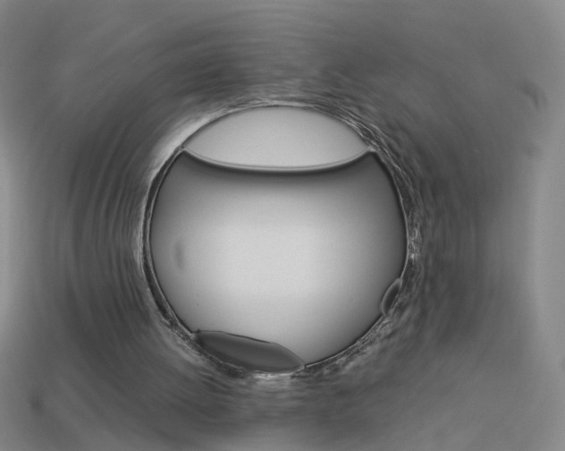 X0000113990052200910021018
