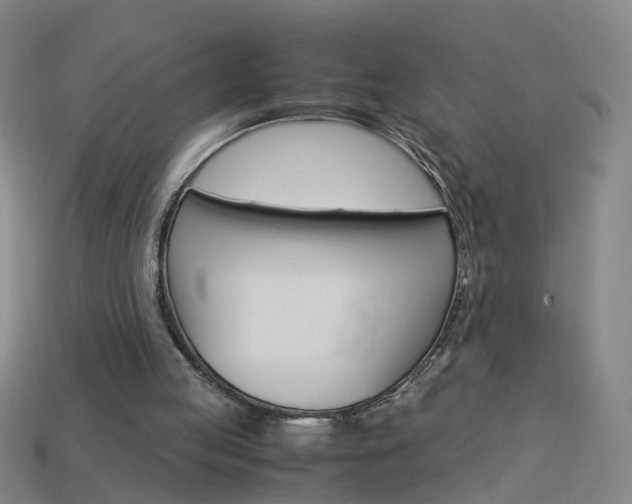 X0000113990053200910021018