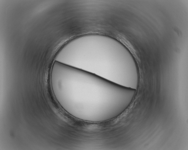 X0000113990058200910021018