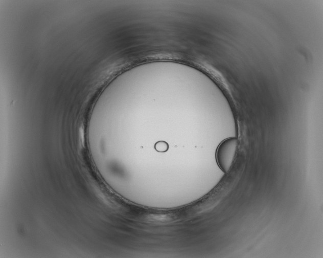 X0000113990061200910021018