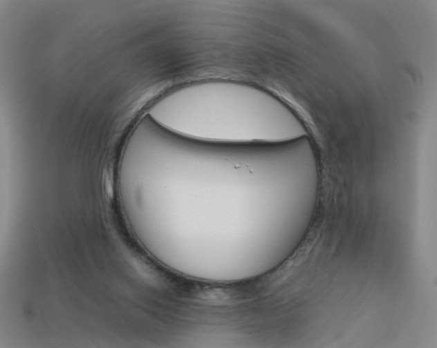 X0000113990062200910021018