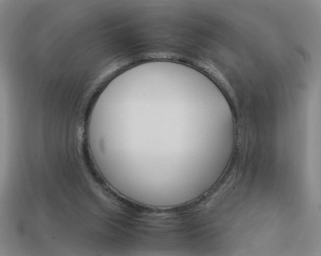 X0000113990063200910021018