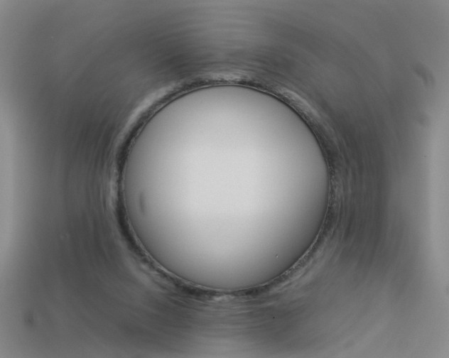 X0000113990064200910021018