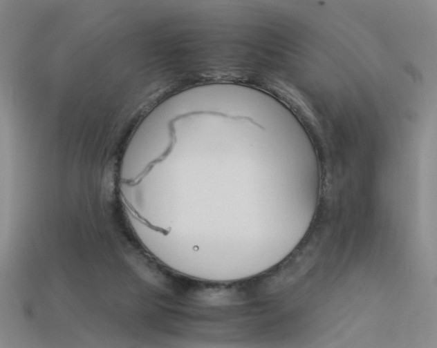 X0000113990065200910021018