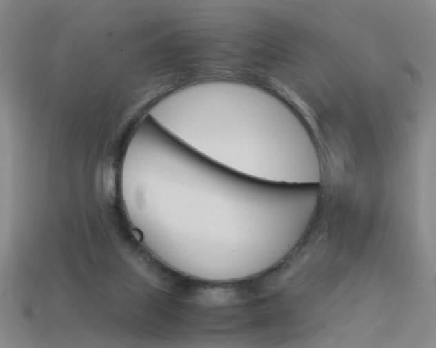 X0000113990067200910021018