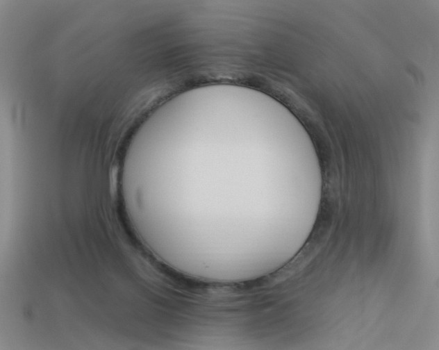 X0000113990070200910021019