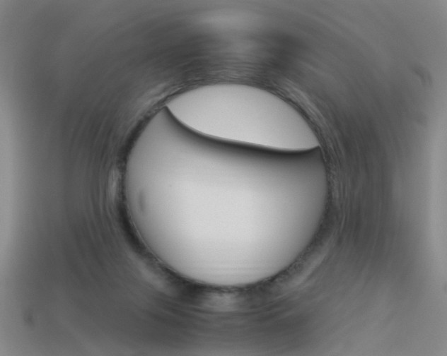 X0000113990071200910021019