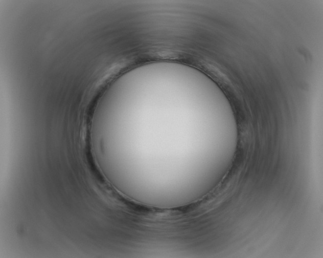 X0000113990072200910021019