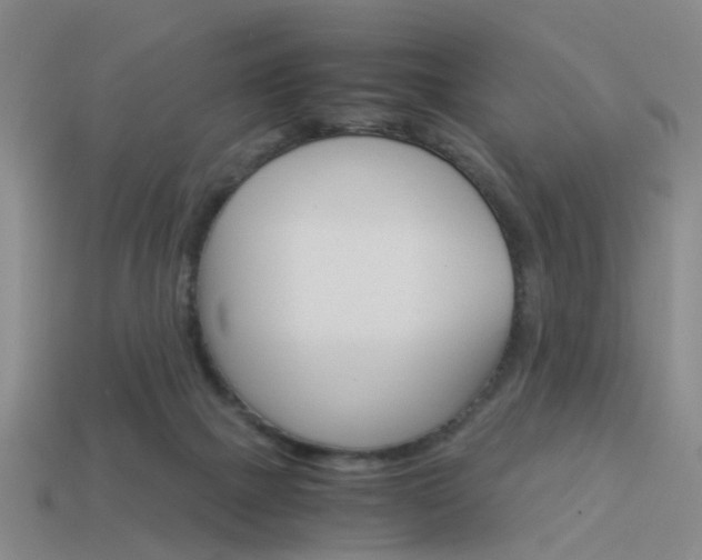 X0000113990073200910021019