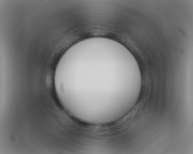 X0000113990074200910021019