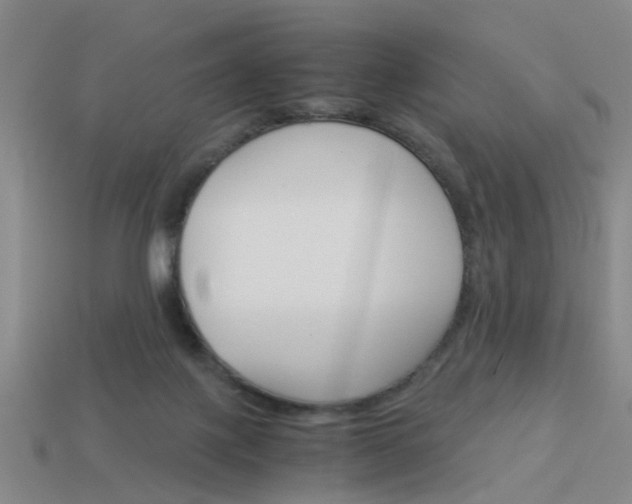 X0000113990075200910021019