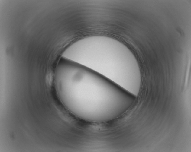 X0000113990076200910021019