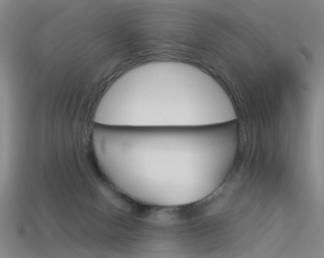 X0000113990078200910021019