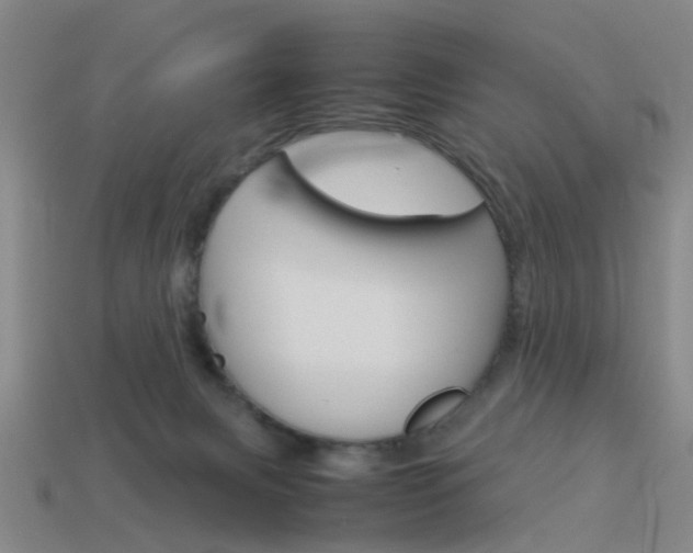 X0000113990079200910021019