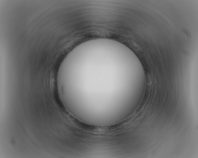 X0000113990080200910021019