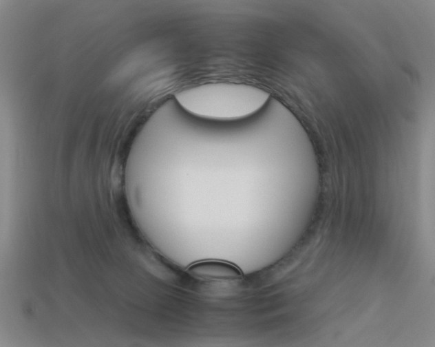X0000113990081200910021019