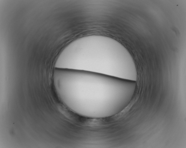 X0000113990082200910021019