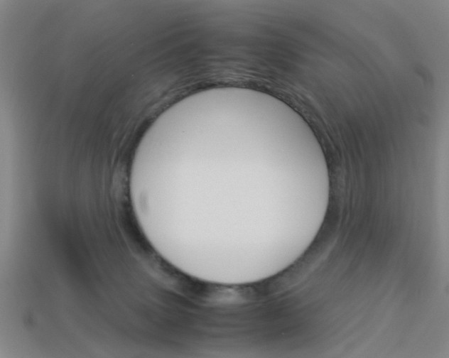 X0000113990083200910021019