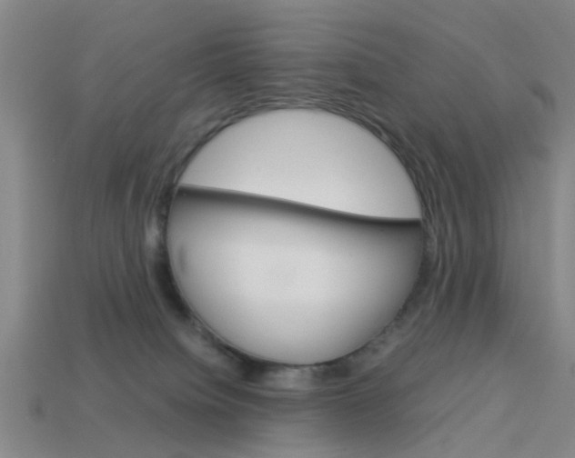 X0000113990084200910021019