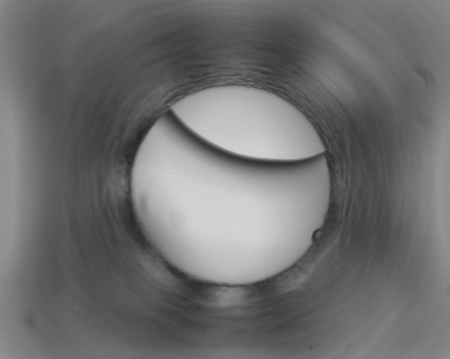 X0000113990085200910021019