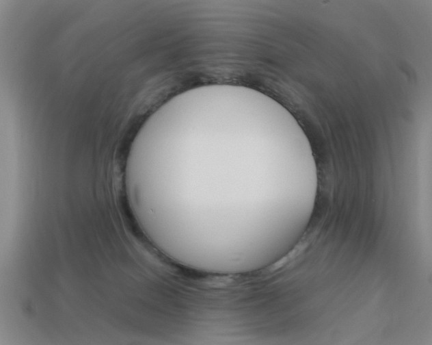 X0000113990086200910021019