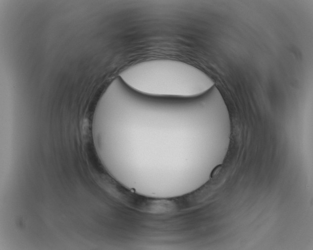 X0000113990087200910021019