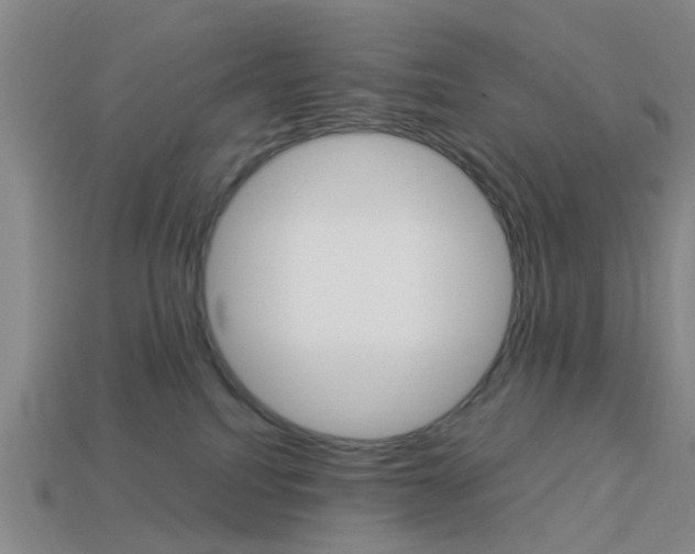 X0000113990088200910021019