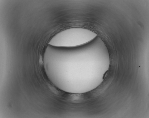 X0000113990089200910021019