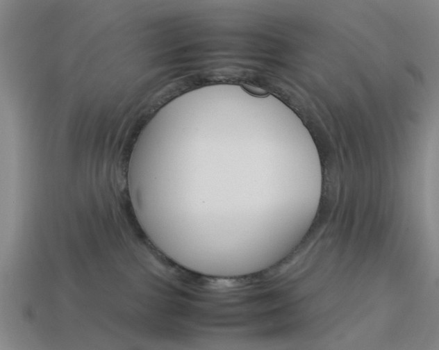 X0000113990091200910021019