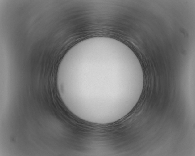 X0000113990092200910021019