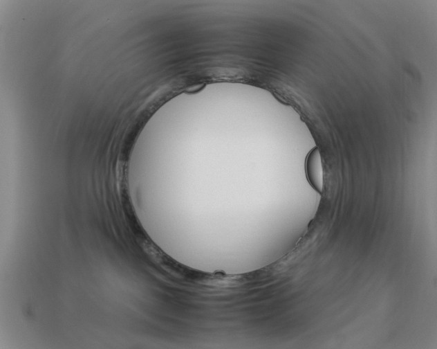 X0000113990093200910021019