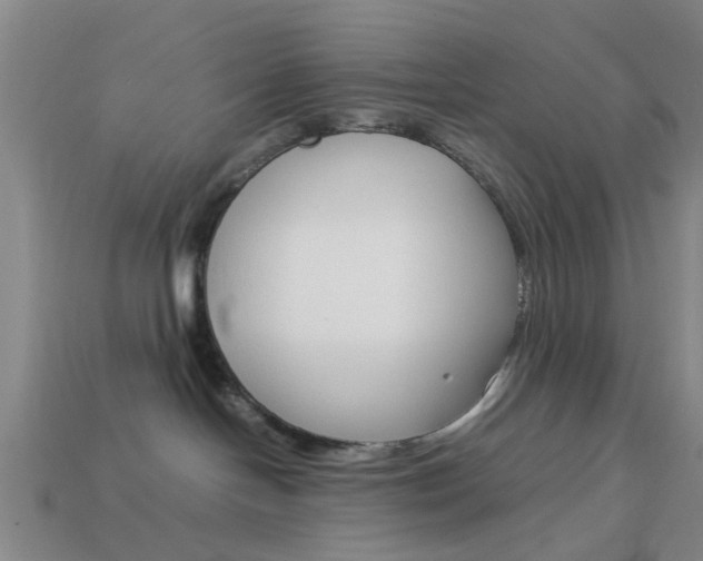 X0000113990094200910021019