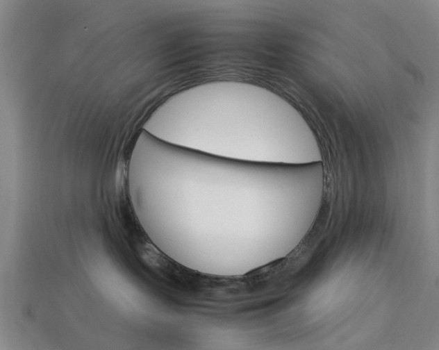 X0000113990095200910021019