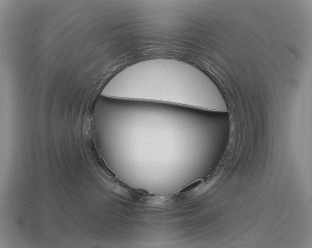 X0000113990096200910021019