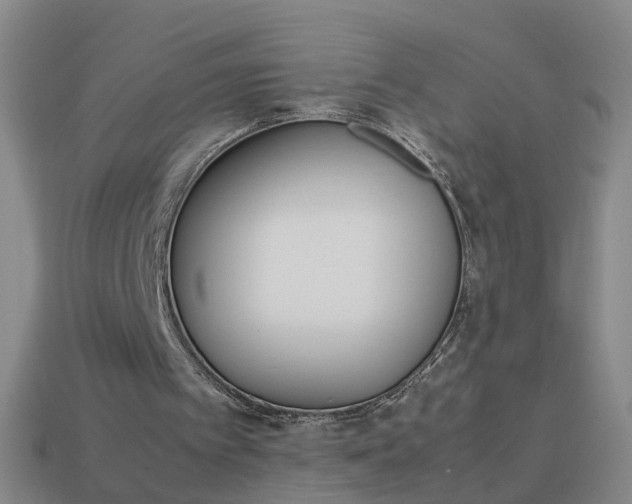 X0000113990097200910021018