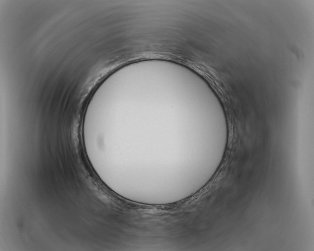 X0000113990098200910021018