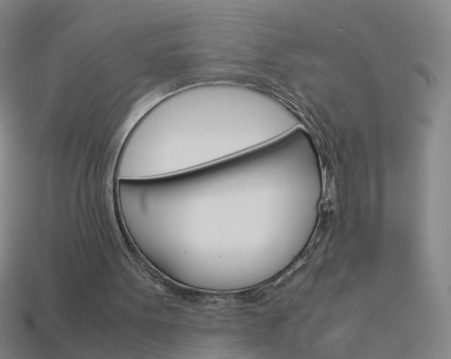X0000113990099200910021018